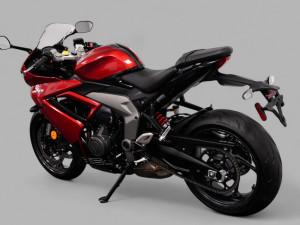 2025 TRIUMPH DAYTONA 660 ‪+973 36687141‬