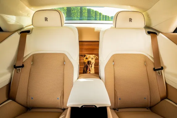 Rolls-Royce Spectre Bailey: A Joyful Tribute to a Beloved Dog