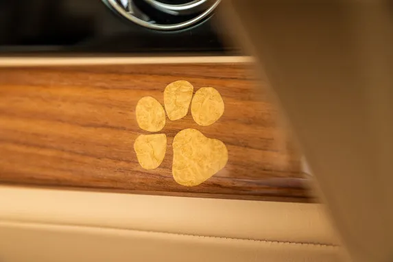 Rolls-Royce Spectre Bailey: A Joyful Tribute to a Beloved Dog