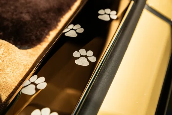 Rolls-Royce Spectre Bailey: A Joyful Tribute to a Beloved Dog