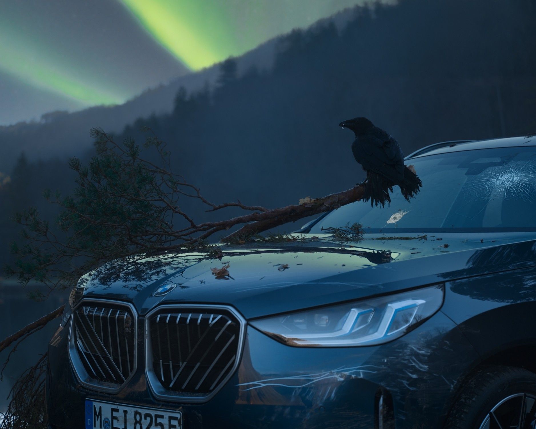 BMW’s “Relax. We Care.” Campaign – A Fun Take on Customer Service