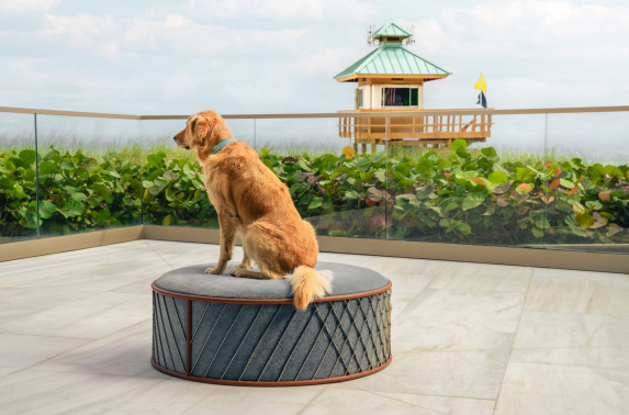 Bentley Residences Miami – Ultra-Luxury Living with Unrivaled Amenities