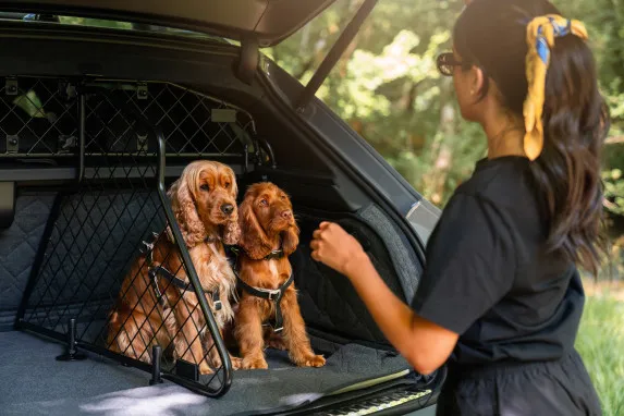 Bentley Bentayga Luxury Pet Accessories | Auto Trader UAE