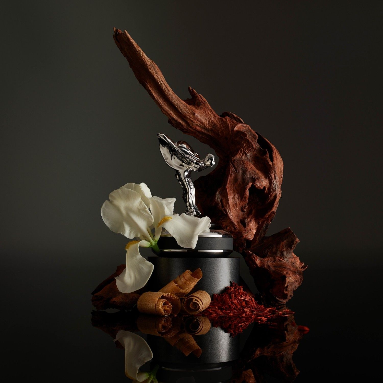 Rolls-Royce Scent: Elevating Luxury with an Immersive Fragrance Concept
