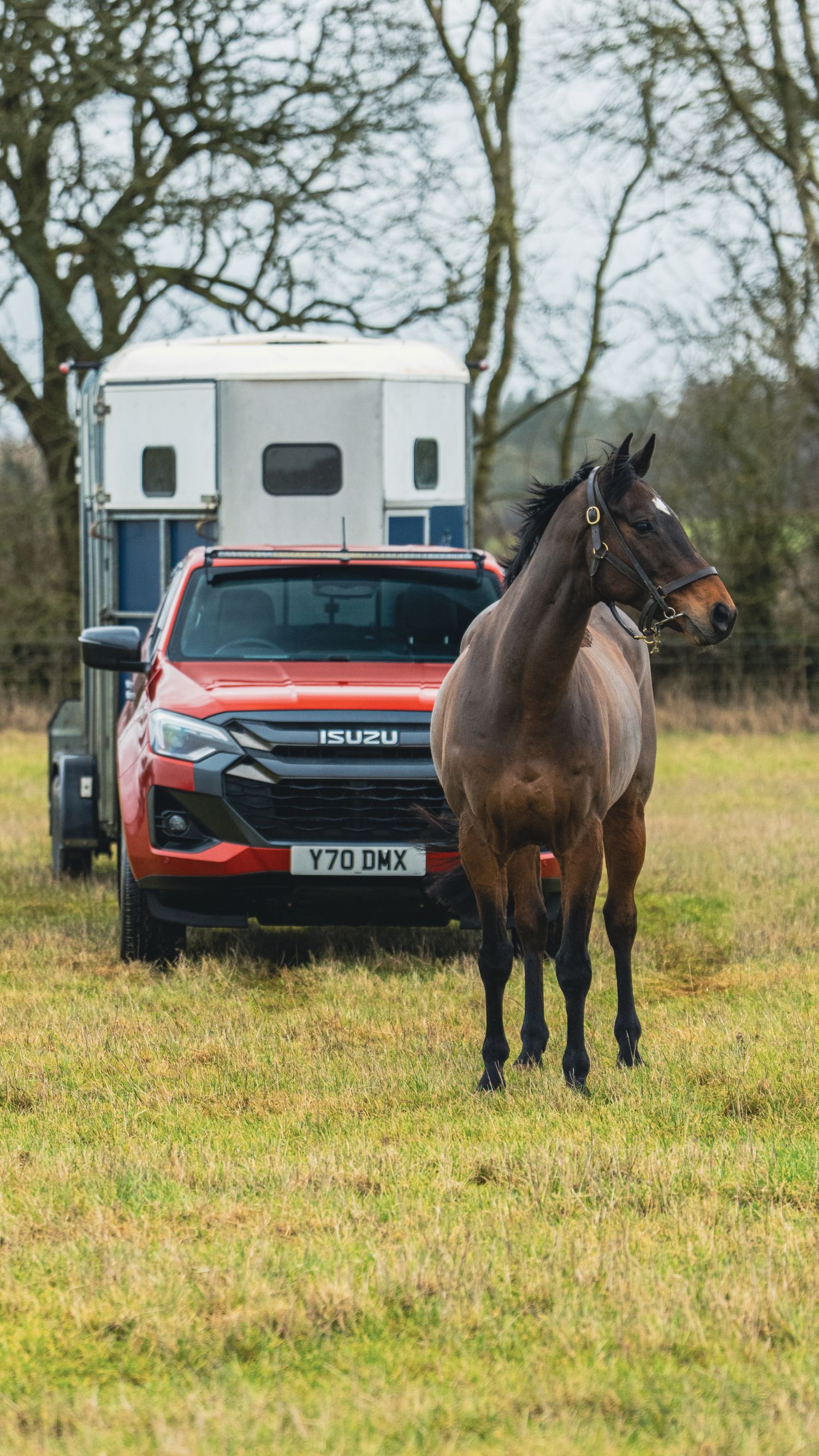 Isuzu D-Max Partners with Point-to-Point Racing: A Perfect Match for Equine Enthusiasts