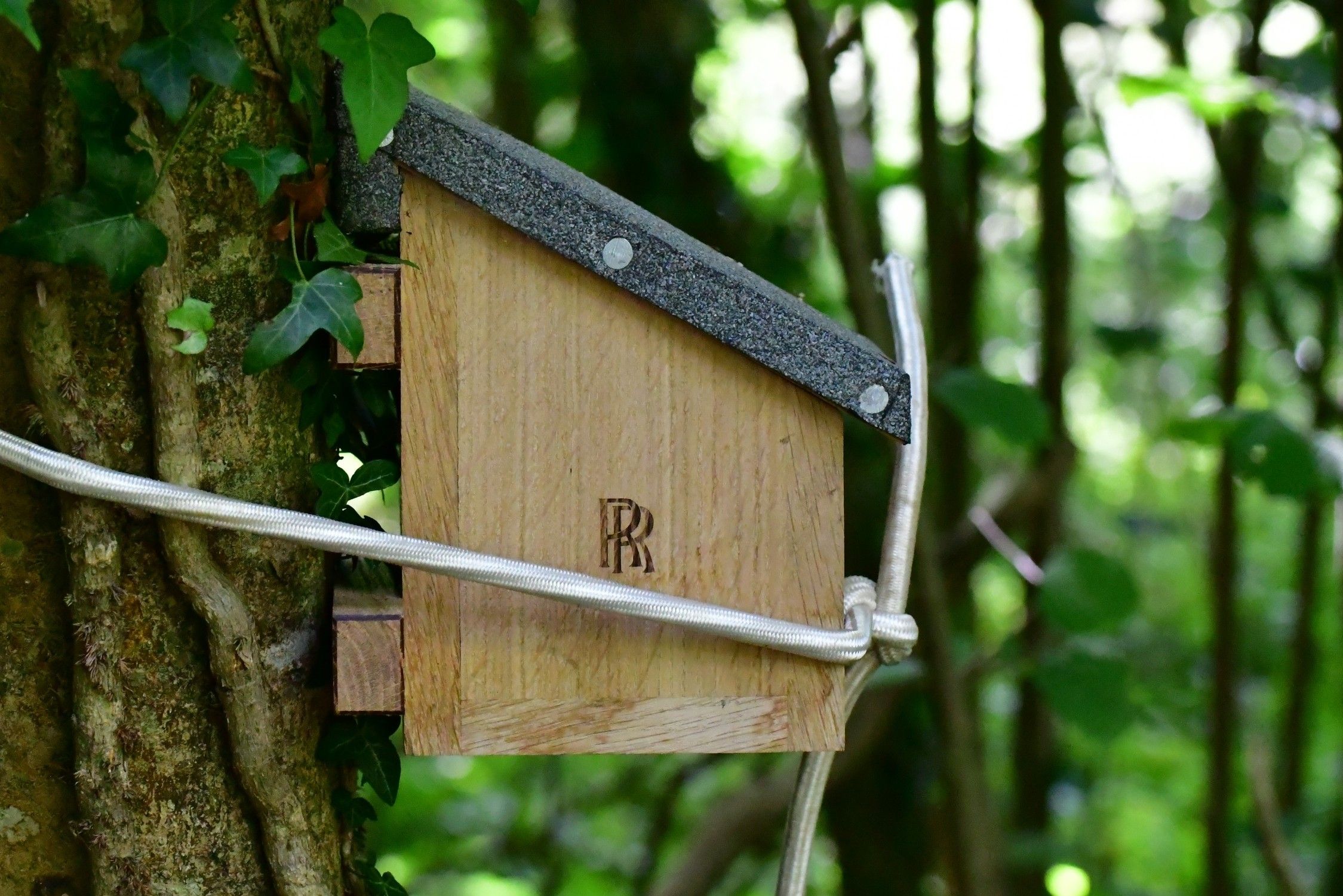 Rolls-Royce Apprentices Craft Dormouse Houses – Luxury Meets Conservation
