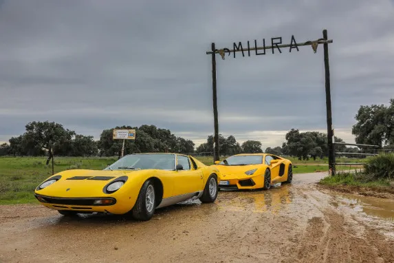 Lamborghini Celebrates 10 Years of Polo Storico 