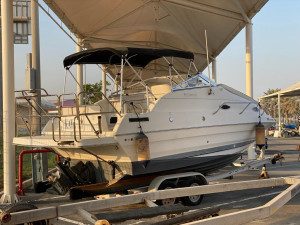 2006 Whittley Clearwater
