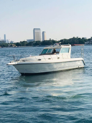 Dubai marine boat Model 2012