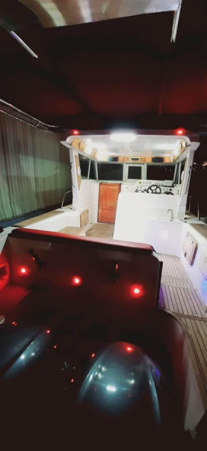 Dubai marine boat Model 2012