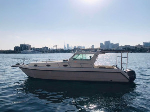 Dubai marine boat Model 2012