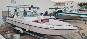 Gulf craft Dolphin Deluxe 31