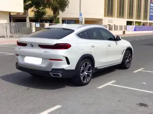 2020 BMW X6