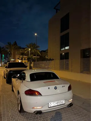 2010 BMW Z4