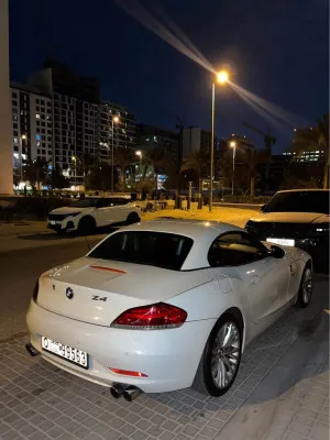 2010 BMW Z4