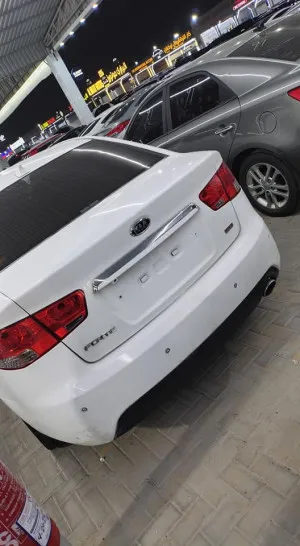 2013 Kia Forte