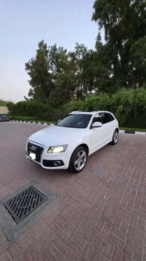 2010 اودي  كيو٥