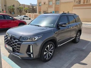 2024 تشانجن سي اس ٩٥