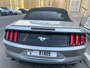 2022 Ford Mustang