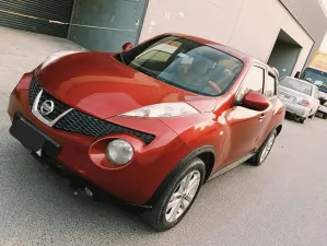 2013 Nissan Juke