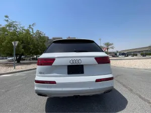 2019 اودي  كيو٧