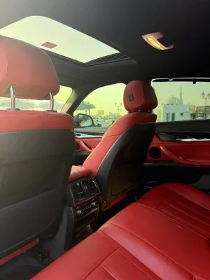 2019 BMW X6