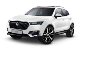 Borgward BX5