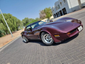 1981 Chevrolet Corvette