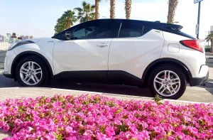2020 Toyota CHR