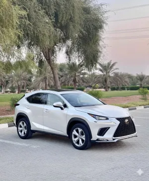 2017 Lexus NX