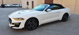2019 فورد موستانج