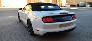 2019 فورد موستانج