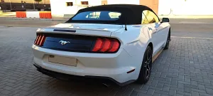 2019 فورد موستانج