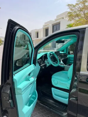 2019 Mercedes-Benz V-Class