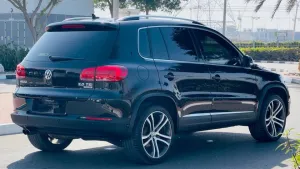2014 Volkswagen Tiguan