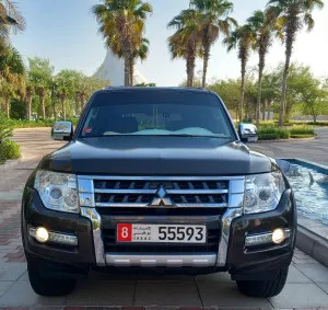 2017 Mitsubishi Pajero