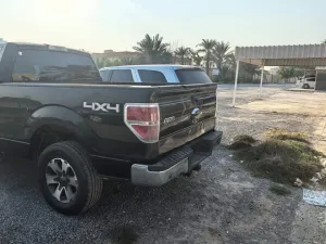 2014 Ford F150