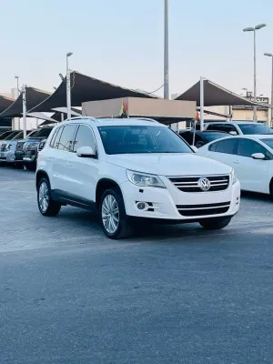 2010 Volkswagen Tiguan