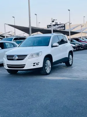 2010 Volkswagen Tiguan