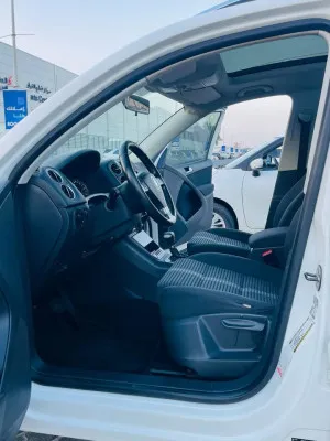 2010 Volkswagen Tiguan
