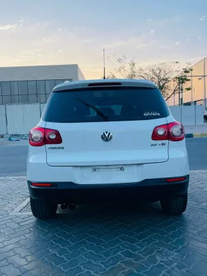 2010 Volkswagen Tiguan
