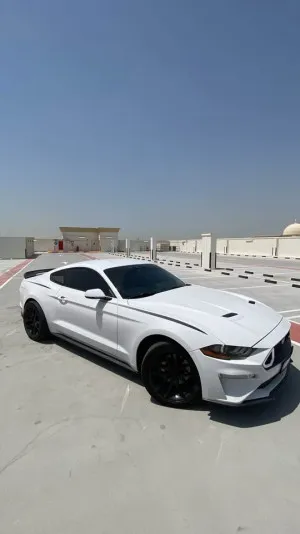 2019 Ford Mustang in dubai