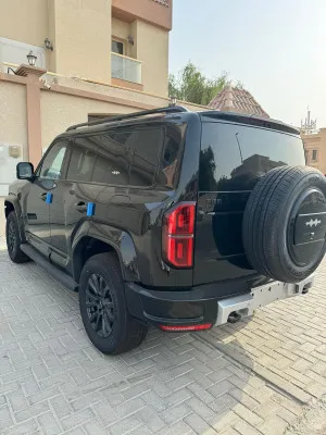 2024 BYD Leopard