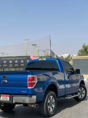 2013 Ford F150