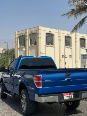 2013 Ford F150
