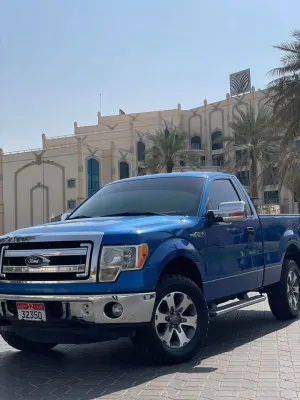 2013 Ford F150