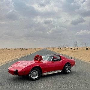 1975 Chevrolet Corvette