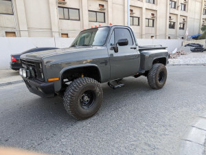 1981 Chevrolet Silverado