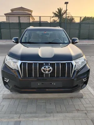2019 Toyota Prado