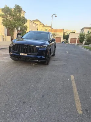 2024 Infiniti QX60